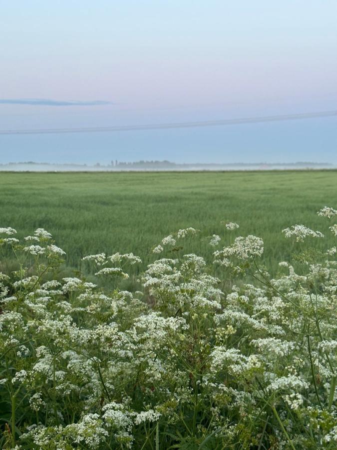 Peltovilla Tornava Bagian luar foto